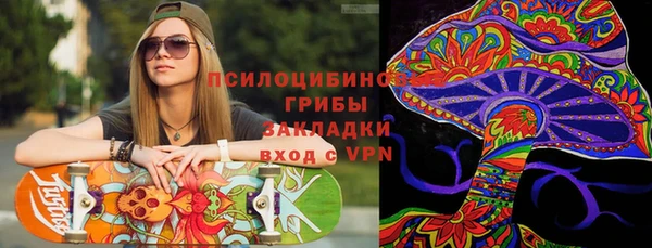 стафф Билибино