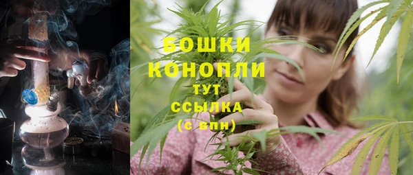 spice Корсаков